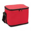 Cooler Bag