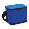 Cooler Bag