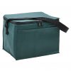 Cooler Bag