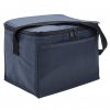 Cooler Bag