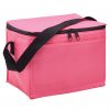 Cooler Bag