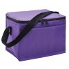 Cooler Bag
