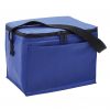 Cooler Bag