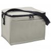 Cooler Bag