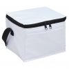 Cooler Bag
