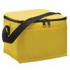 Cooler Bag
