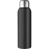 Stainless Steel Sports Bottle