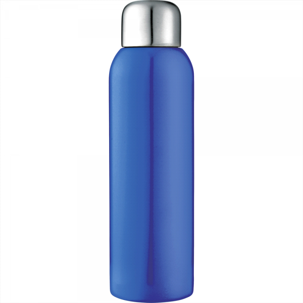 Stainless Steel Sports Bottle