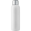 Stainless Steel Sports Bottle
