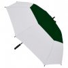 Automatic Umbrella