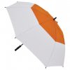 Automatic Umbrella