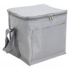 Cooler Bag
