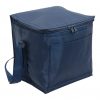 Cooler Bag