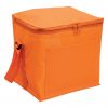 Cooler Bag