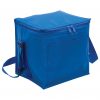 Cooler Bag