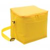 Cooler Bag