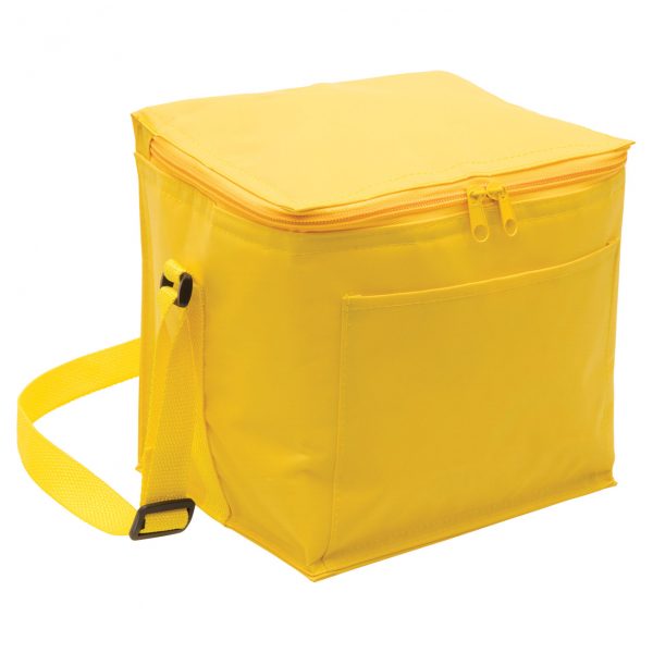 Cooler Bag