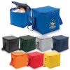 Cooler Bag