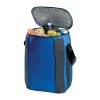 Cooler Bag