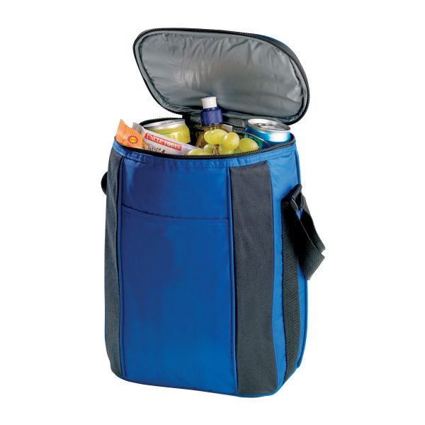 Cooler Bag