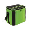 Cooler Bag