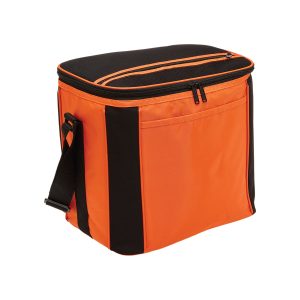 Cooler Bag Cooler Bag