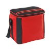 Cooler Bag