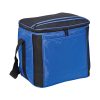 Cooler Bag