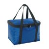 Cooler Bag
