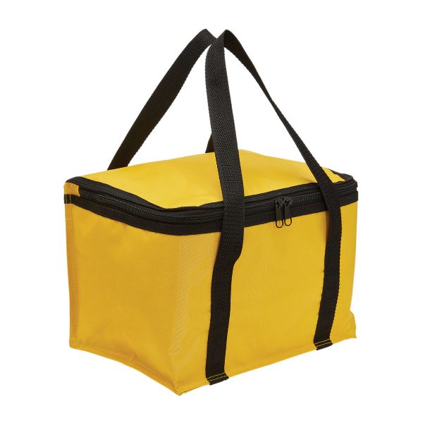 Cooler Bag