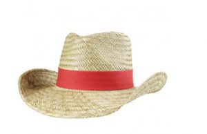 Cowboy Hat Cowboy Hat