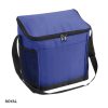 Cooler Bag