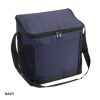 Cooler Bag