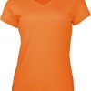 Ladies V-Neck Tee Shirt Ladies V-Neck Tee Shirt