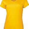 Ladies V-Neck Tee Shirt Ladies V-Neck Tee Shirt