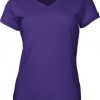 Ladies V-Neck Tee Shirt Ladies V-Neck Tee Shirt