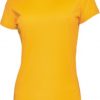 Ladies Tee Shirt Ladies Tee Shirt