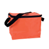 Cooler Bag