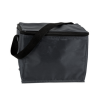 Cooler Bag