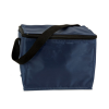 Cooler Bag