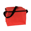 Cooler Bag