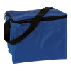 Cooler Bag