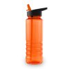 Drinking Bottle with Straw