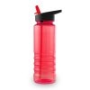 Drinking Bottle with Straw