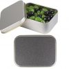 Custom Jelly Beans Tin