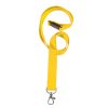 Lanyard