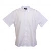 Mens Shirt