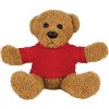Plush Bear