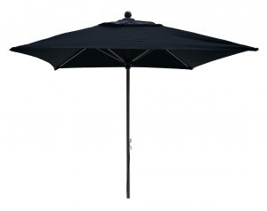 Umbrella Umbrella
