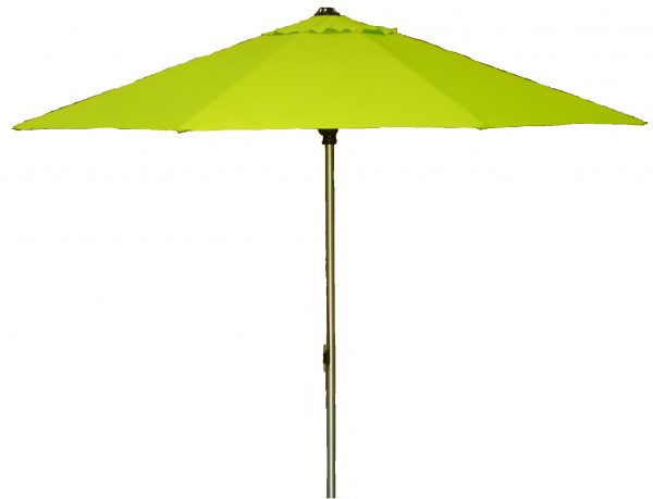Umbrella Umbrella